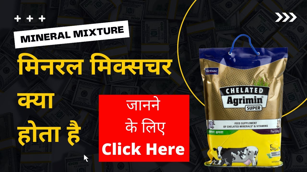 Mineral Mixture Kya Hota Hai / Mineral Mixture for Cow and Buffalo @farmeradvisor
