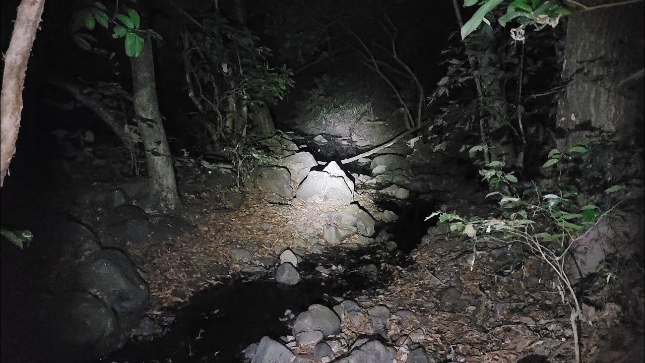 Grabamos el Silvido del CADEJO🐺🐺 👻En esta Tenebrosa Quebrada, (Se recomienda usar Auriculares)