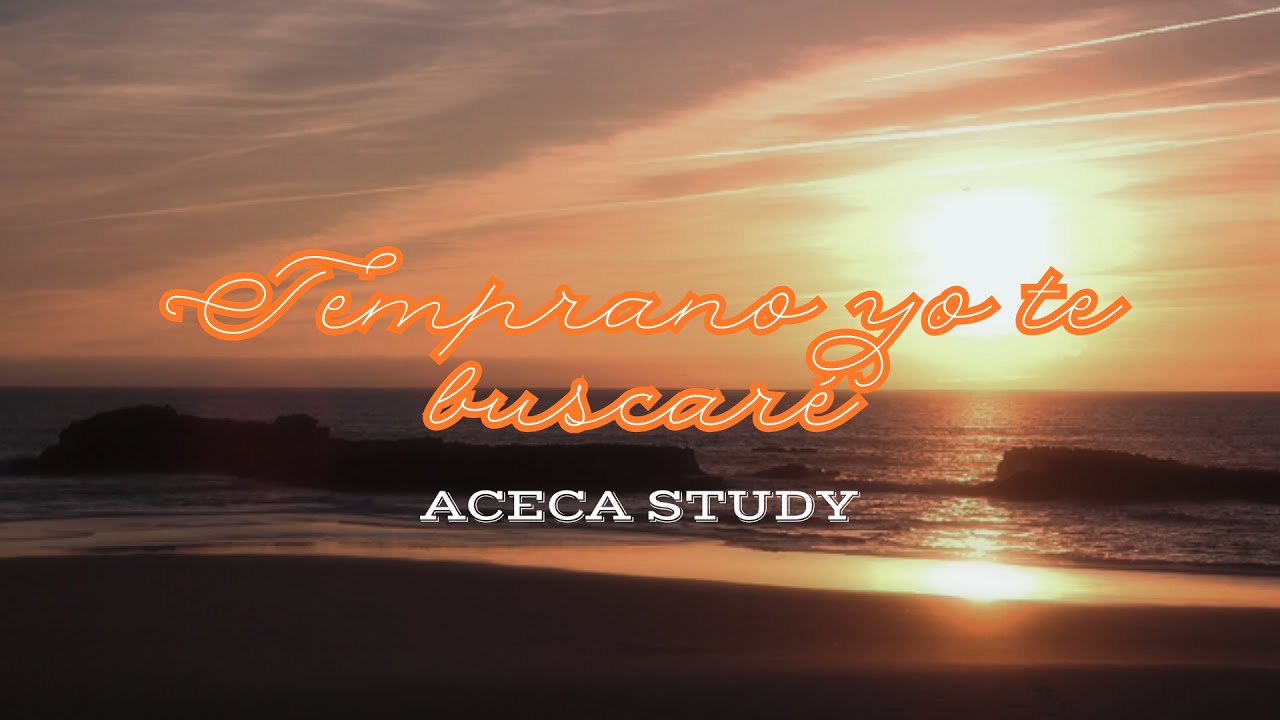Temprano yo te buscare - Cover | AcecaStudy - Cesia M.