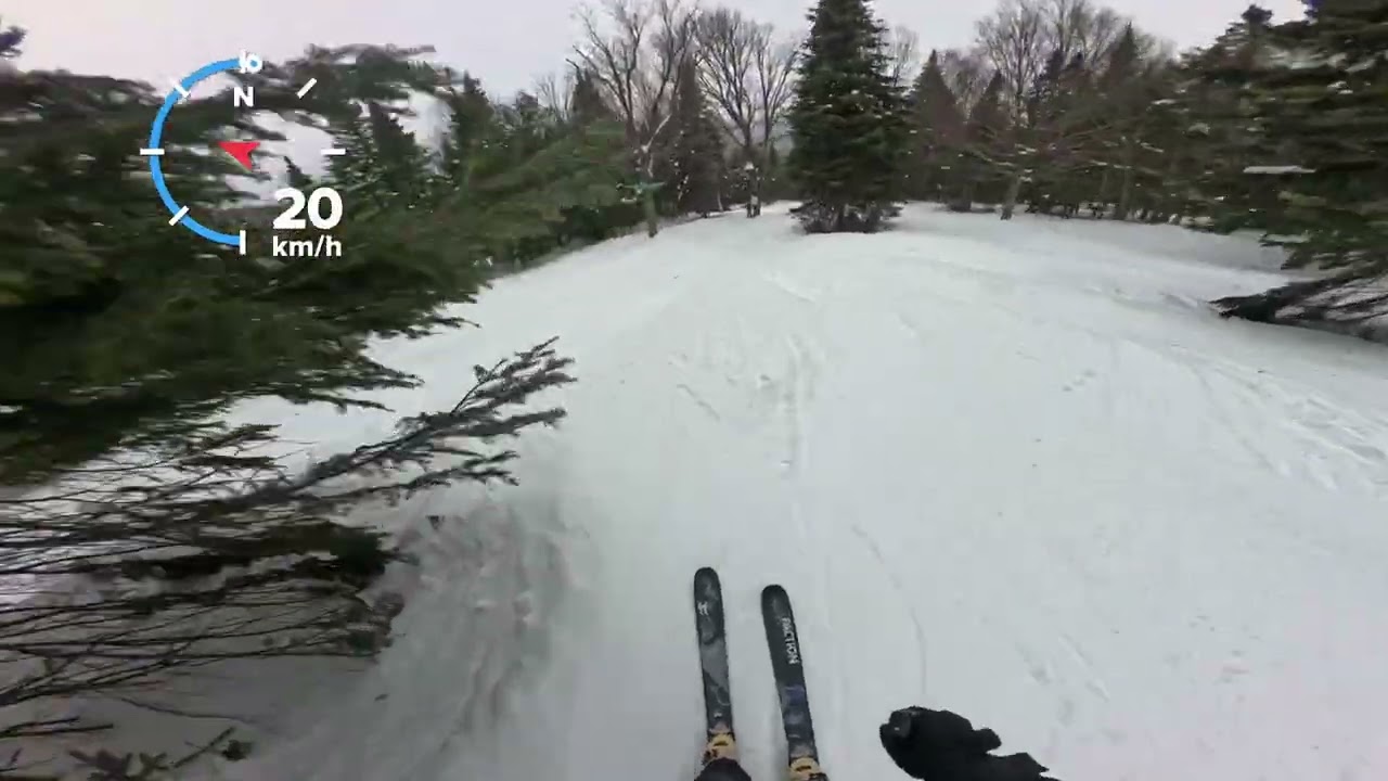 La Forêt Enchantée Mont-Sainte-Anne