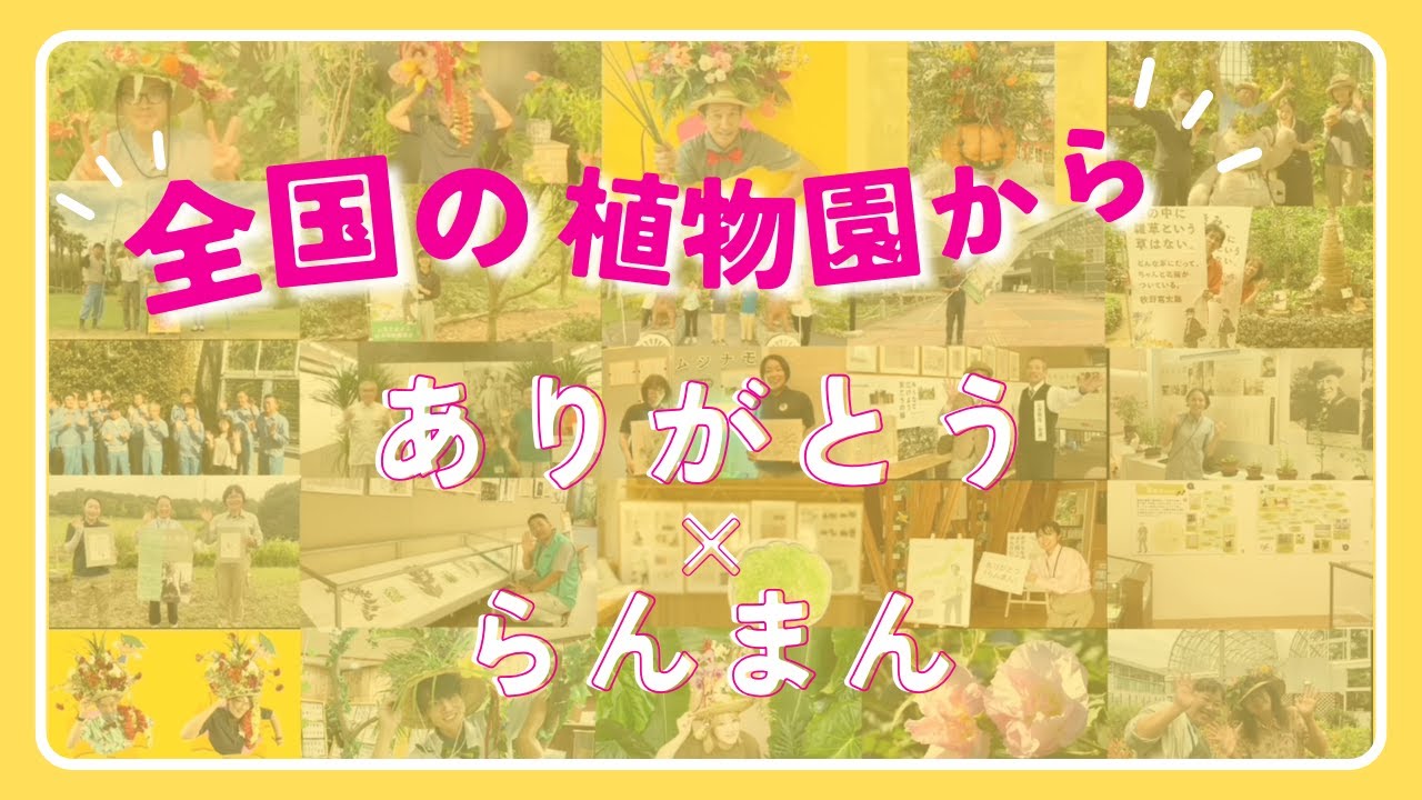 【ありがとうらんまん】全国の植物園を繋ぐ ┃ 感動のオンラインツアー企画 第６弾！ #朝ドラらんまん #ついに最終週 #ありがとう  #日本植物園協会