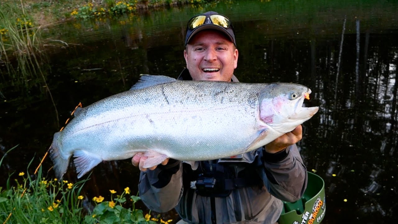 STOR Fisk på Fætterfluen og Klasse 2 - Sommerfiskeri På Berget
