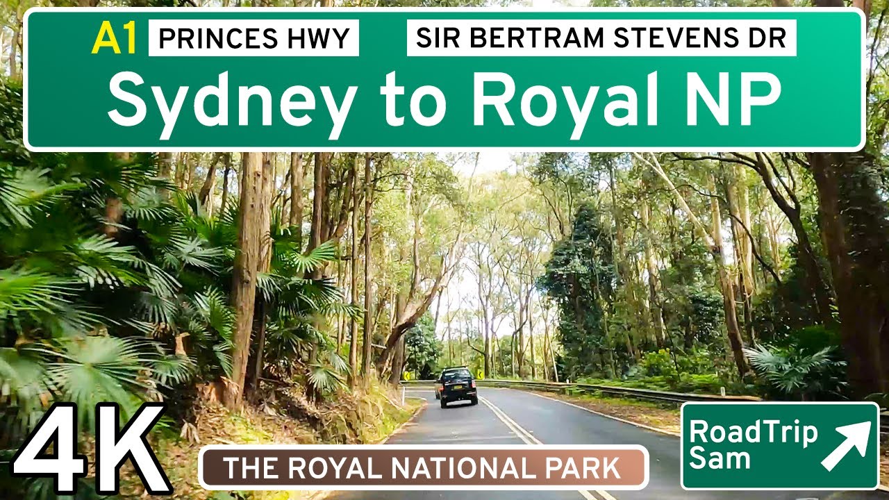 Driving through Royal National Park - New South Wales, Australia - POV / music