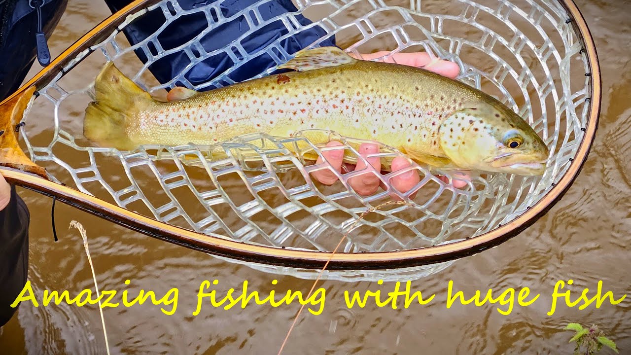 Fly fishing Austria, Untertauern  2023 (Part1/2)