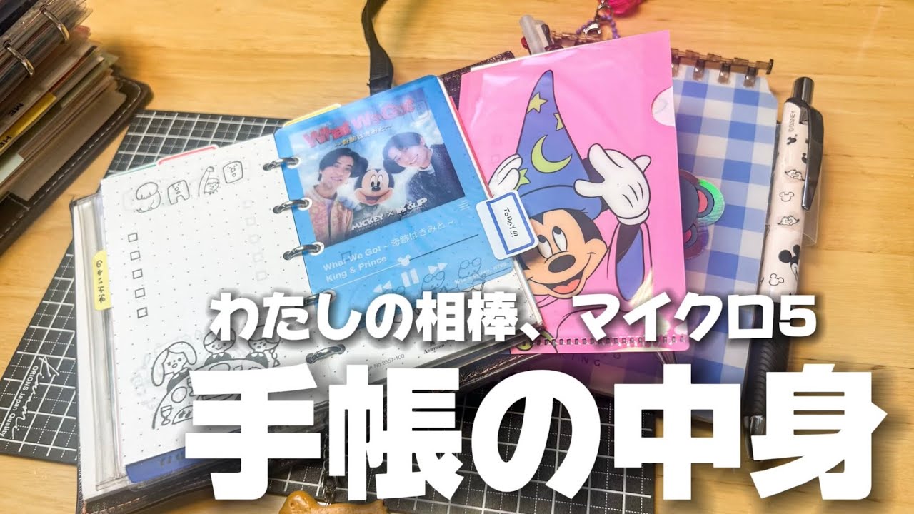 【手帳の中身】持ち歩き手帳を大公開！わたしの相棒、M5手帳🧸💛