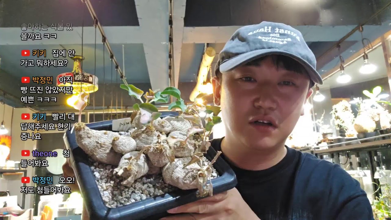 즐거운주말입니다