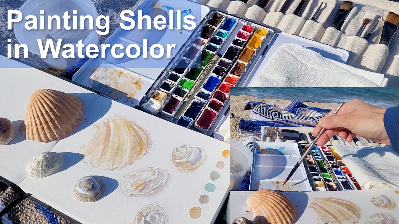 Travel Watercolor Sketchbook | Painting Watercolor Shells from Life on the Beach