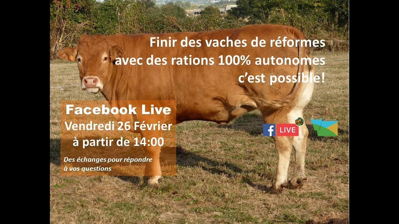 FB live finition des vaches allaitantes avec des rations autonomes Fév 2021