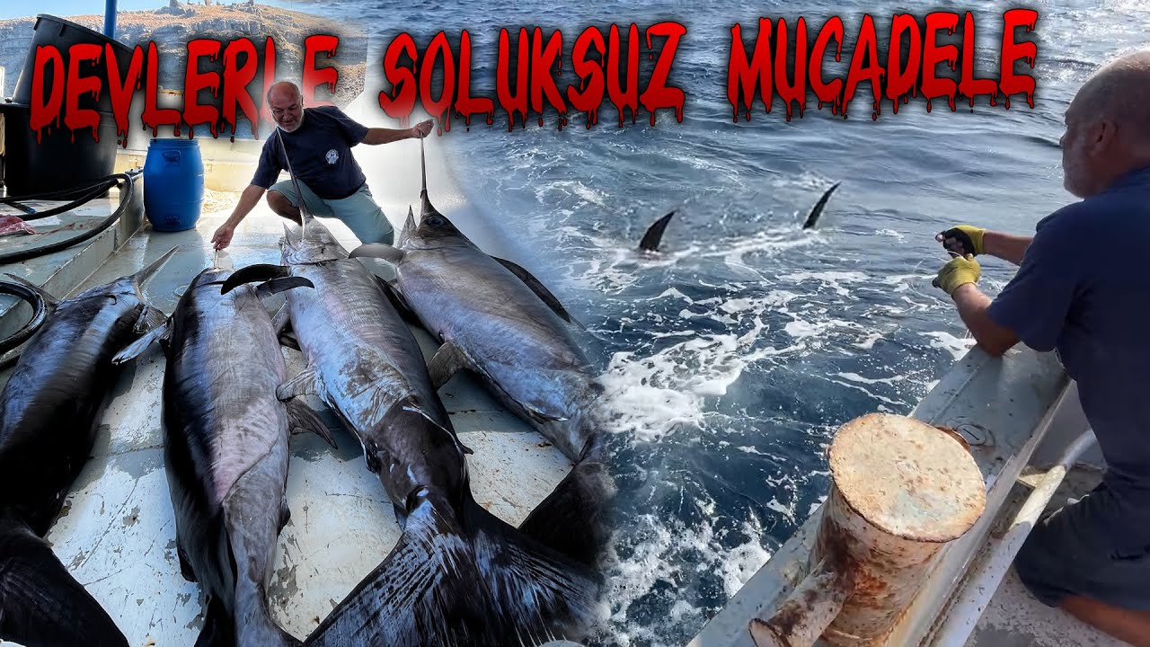 ÖLMEYİ UNUTMUŞ KILIÇ BALIĞI! | KILIÇ BALIKLARINDAN KAÇ PARA KAZANDIK ?