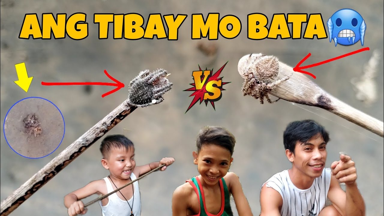 WALANG NAGAWA ANG GAGAMBA KO 😭 KINAWAWA LANG NG BAGITO.