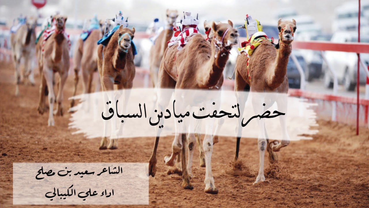 حضر لتحفت ميادين السباق - لشاعر سعيد بن مصلح - إداء علي الكيبالي