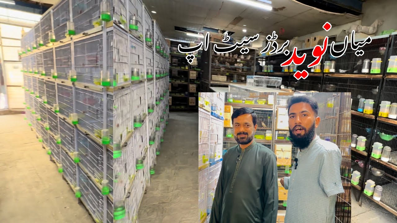 Now Mian Naveed Birds🦅 Setup&Birds Market shops All types🐣Of birds/Animal Available House🏡 Aviry