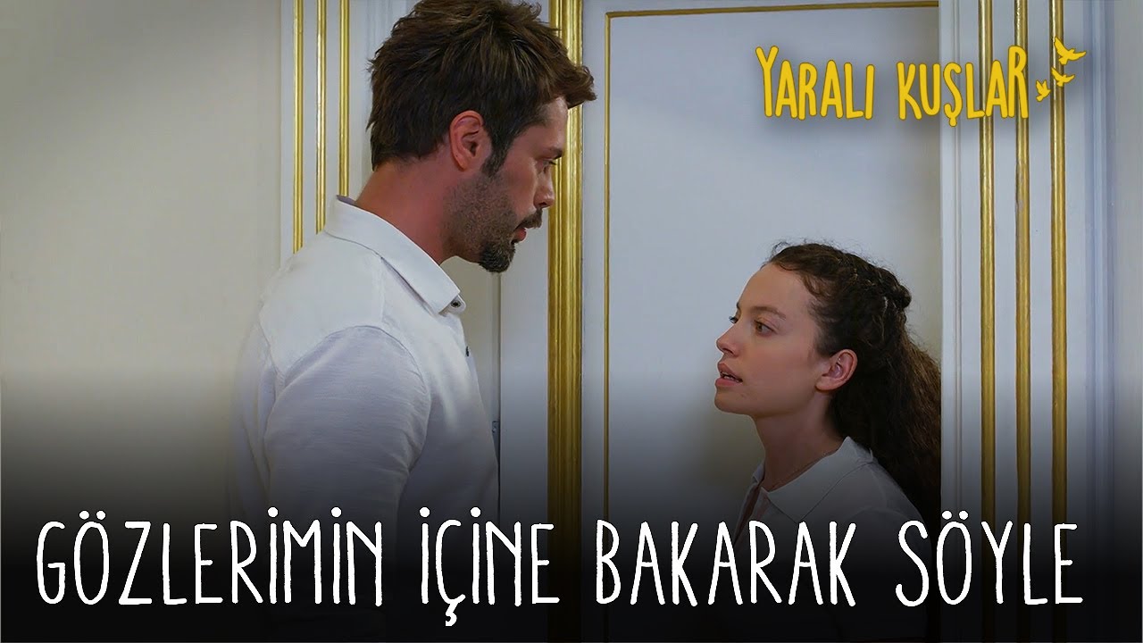 Meryem ve Levent'in aşkı başlıyor 🩷 | Yaralı Kuşlar 60. Bölüm