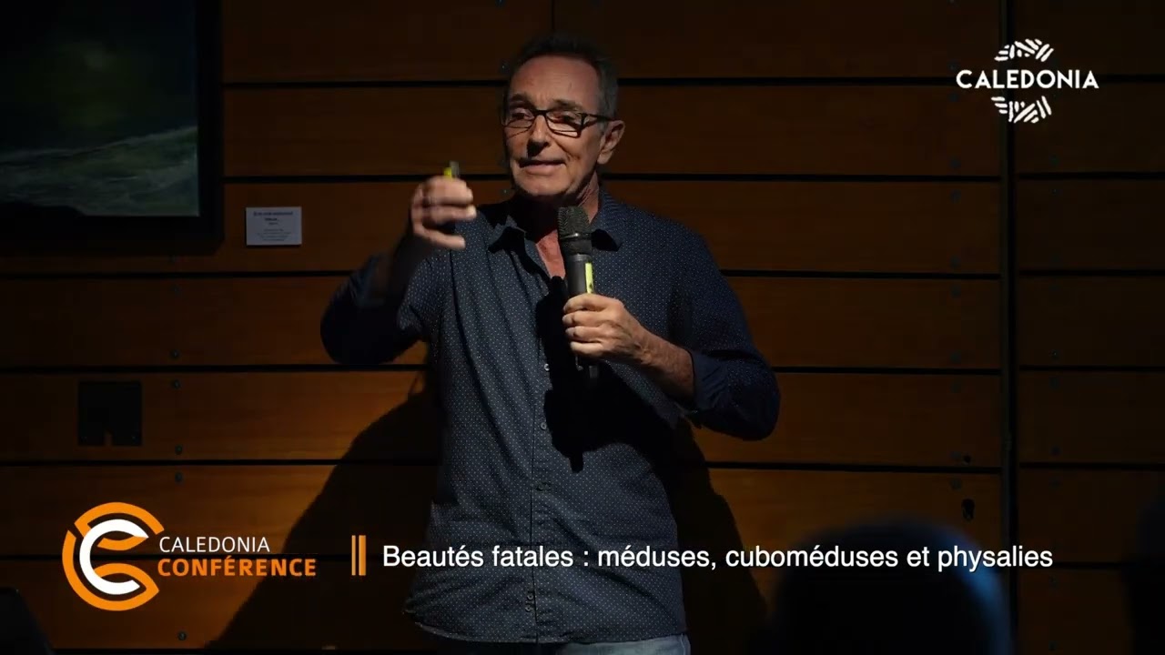 CALEDONIA CONFÉRENCE – Beautés fatales : méduses, cuboméduses et physalies