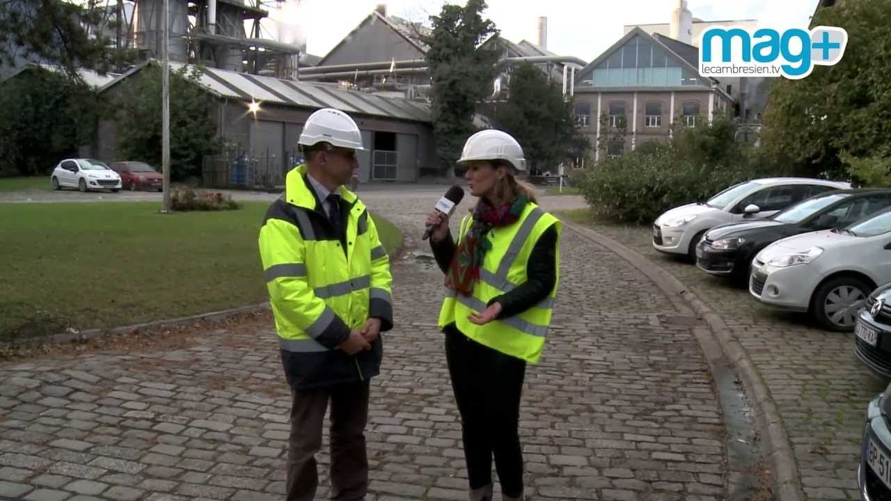 Mag+ du 31 octobre 2013