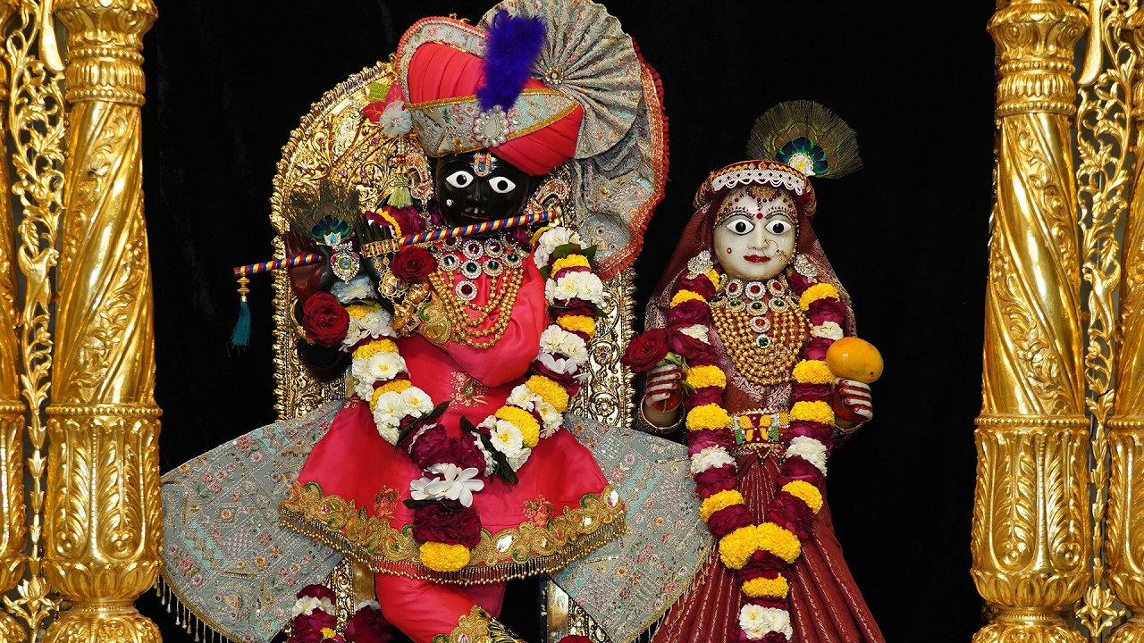 Daily Darshan | છ ધામના દેવોના આજના દિવ્ય શણગારના દર્શન તા:- ૧૦ / - ૦૩ /- ૨૦૨૬ | Nitya Darshan