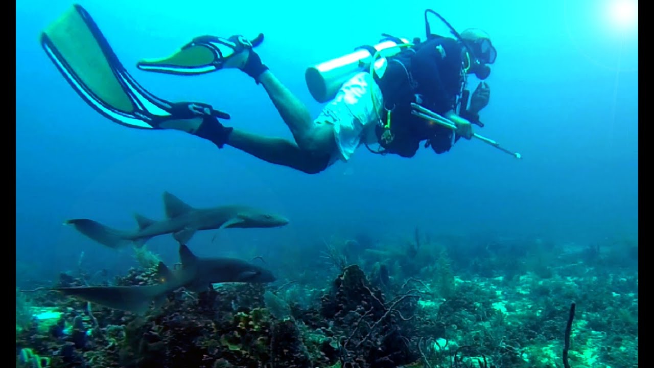 Little Corn Island Diver's Log
