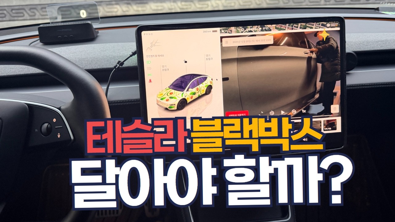 테슬라 블랙박스, 꼭 설치해야 할까? | 기본 기능과 용량 확장까지