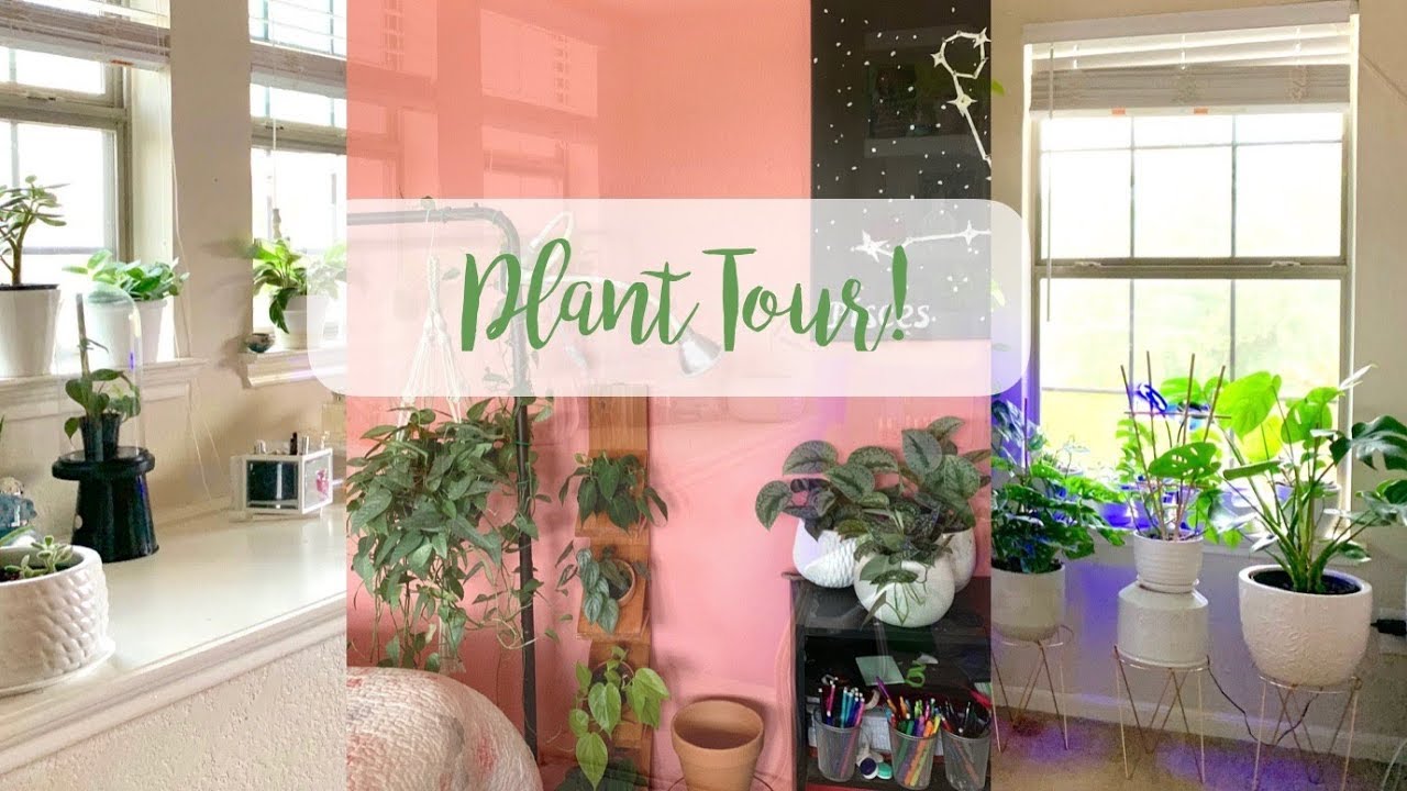 Houseplant Bedroom Tour | 30+ Plants! Pt. 1