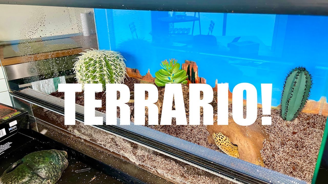 NUOVO TERRARIO per Gechi Leopardini! ALLESTIMENTO | Undici Giga