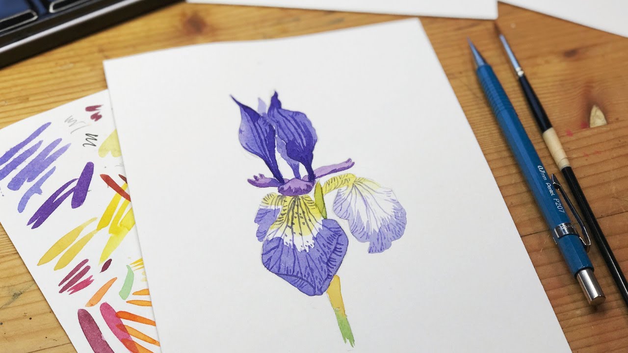 Loose but precise: Painting an iris | flower painting tutorial