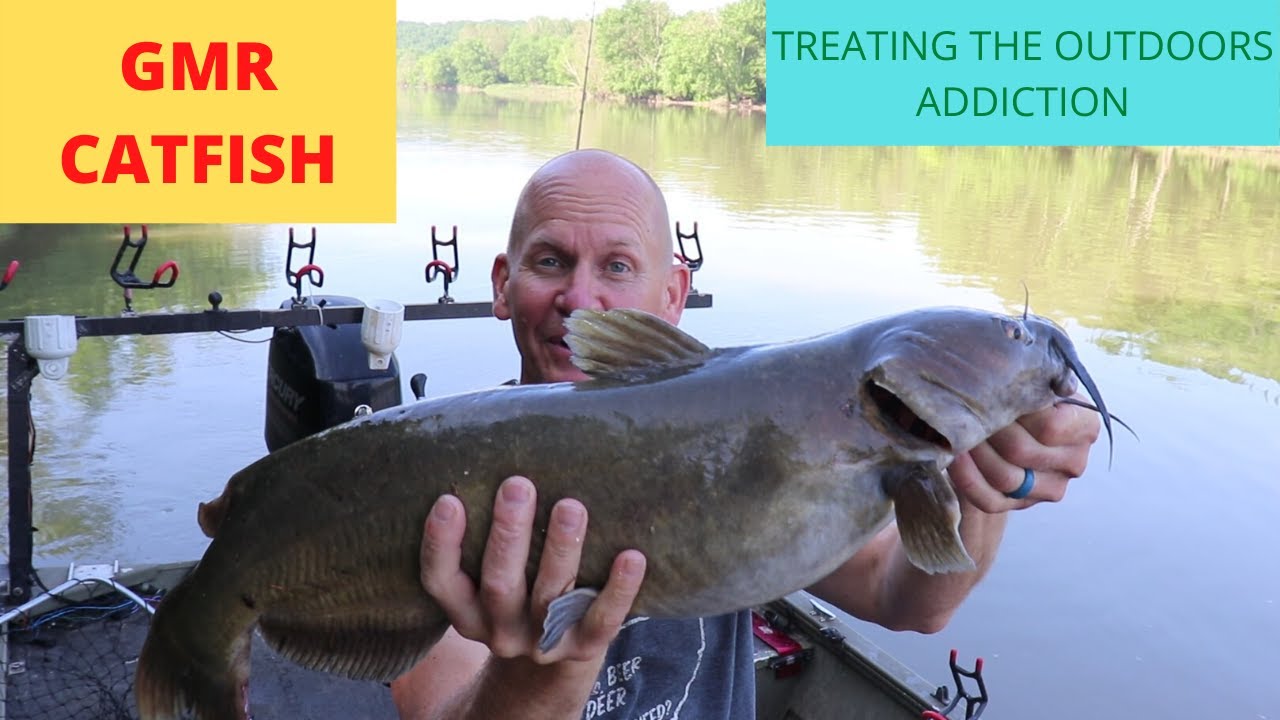 Great Miami Catfish 06/05/20