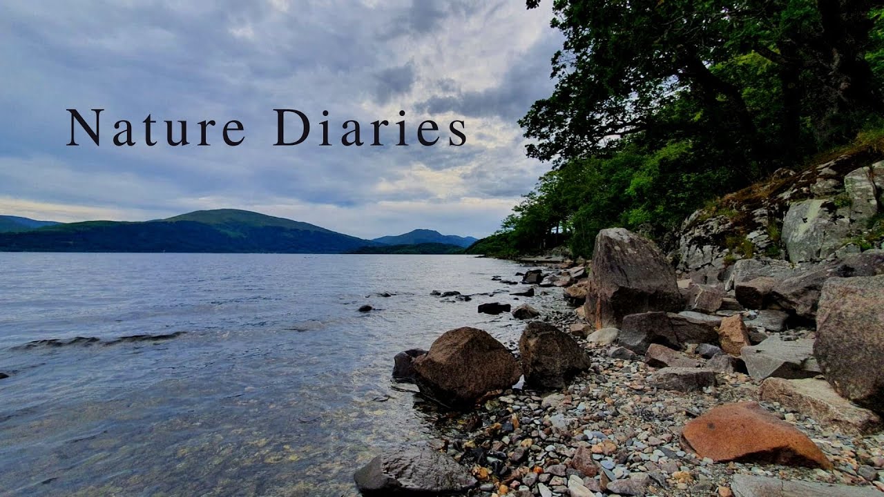 Hiking along LOCH LOMOND, Scotland (we found a RED SQUIRREL!) - Nature Diaries