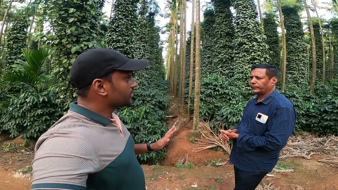 PACKAGE OF PRACTICE FOR BLACK PEPPER BY AMANULLAH DON'T MISS END