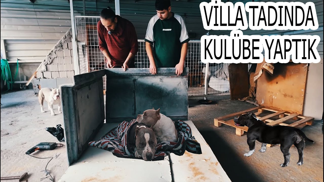KÖPEKLERİME VİLLA TADINDA KULÜBE YAPIM AŞAMASI