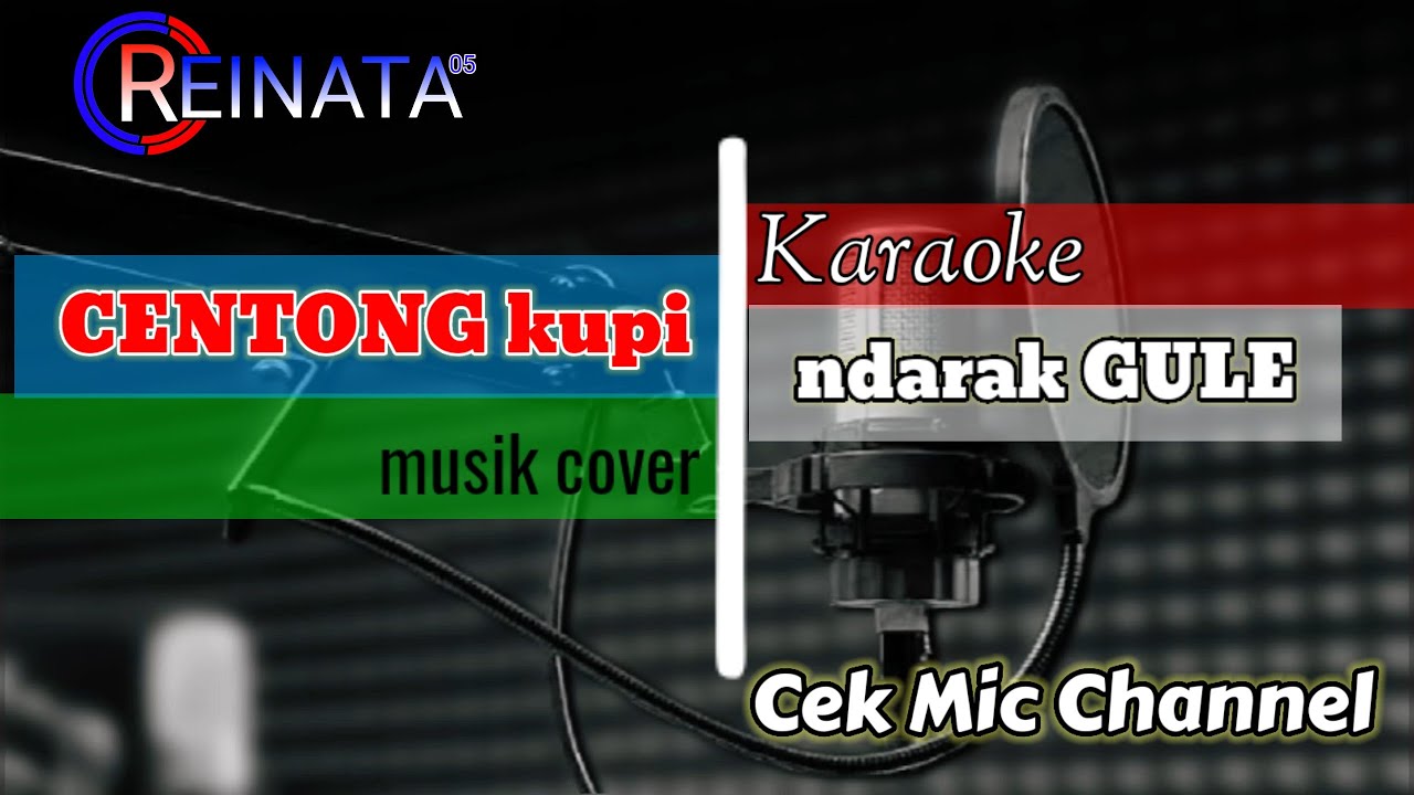 KARAOKE SALING SEREP ( Centong Kupi Ndarak Gule ) REINATA 05 | Cek Mic Channel