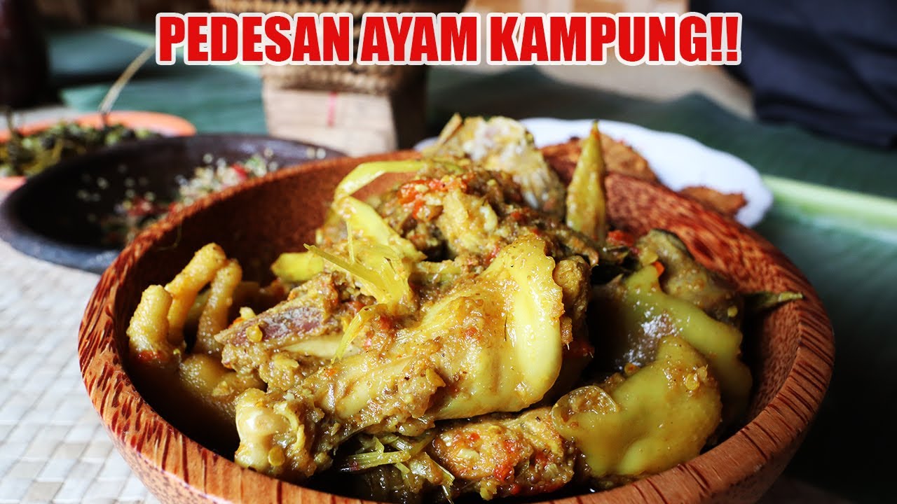 PEDESAN AYAM KAMPUNG