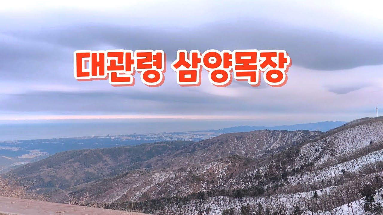 대관령 삼양목장