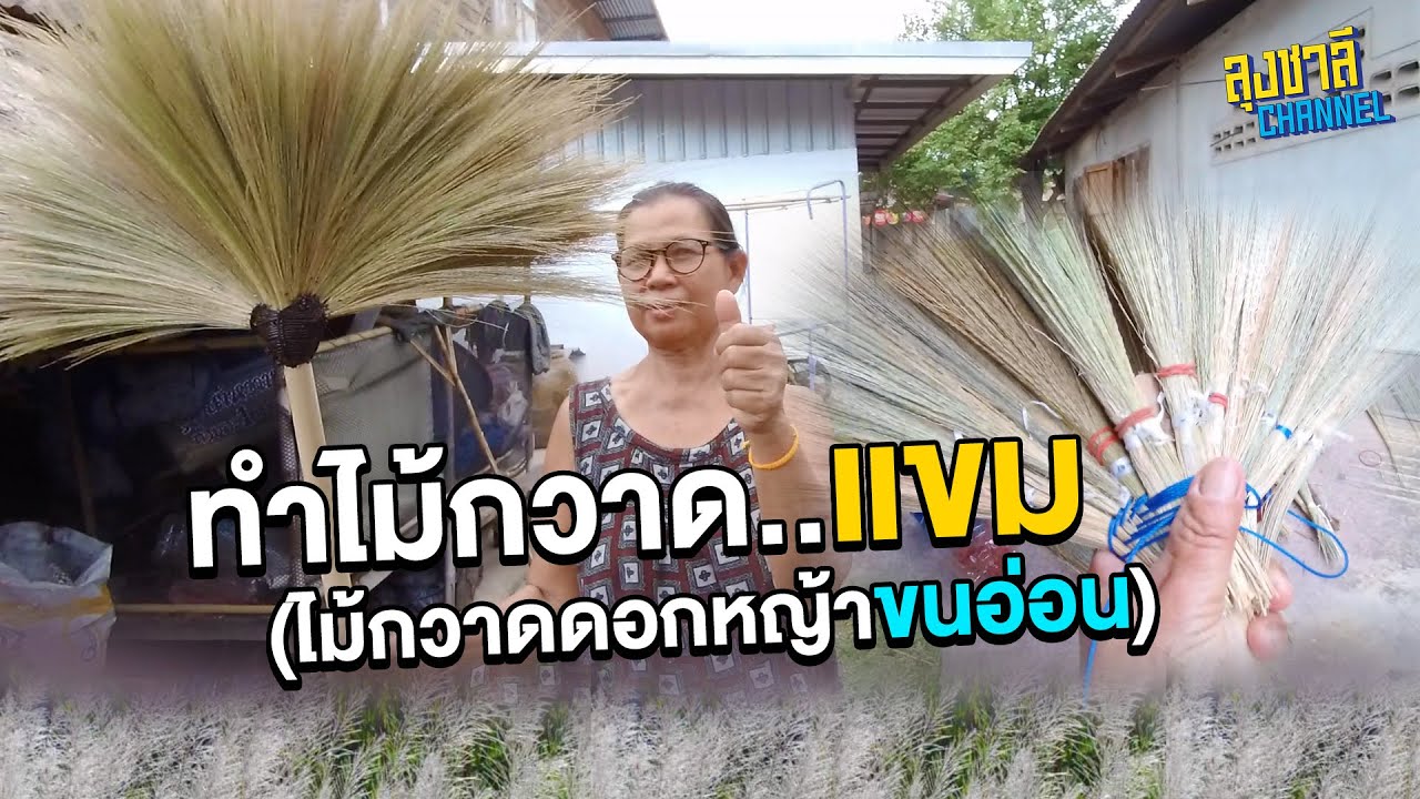 EP.50 ทำไม้กวาดดอกหญ้าขนอ่อน (ไม้กวาดแขม)