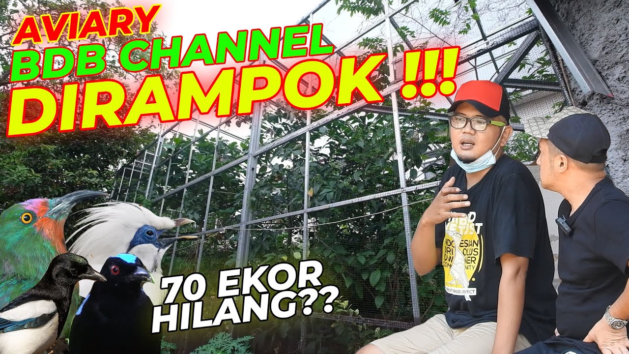 SEBAGIAN BURUNG AKAN DI TITIPKAN KE AVIARY DEHAKIMS