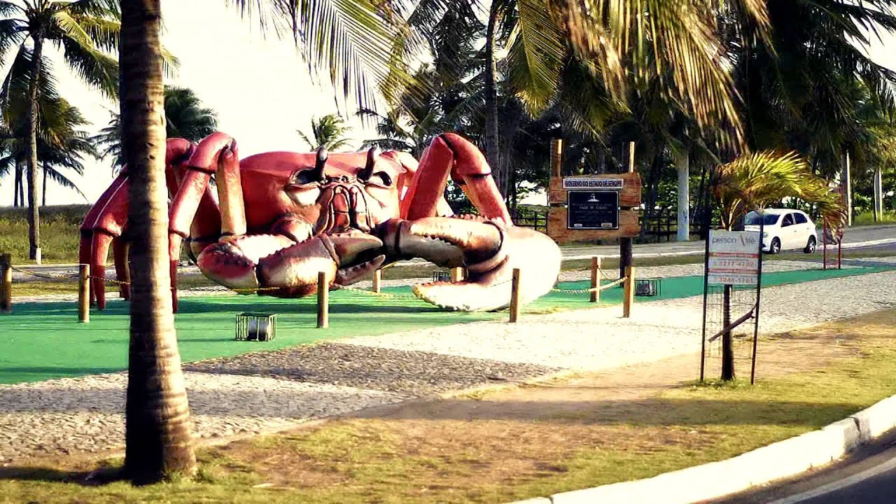 AMO ARACAJU (Sérgio Lucas)