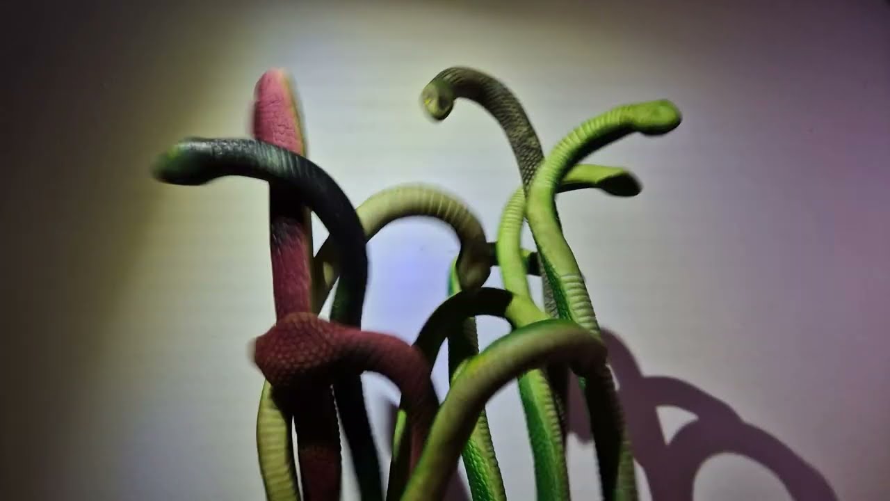 Fervents - Plastic Snake Factory - Official Video