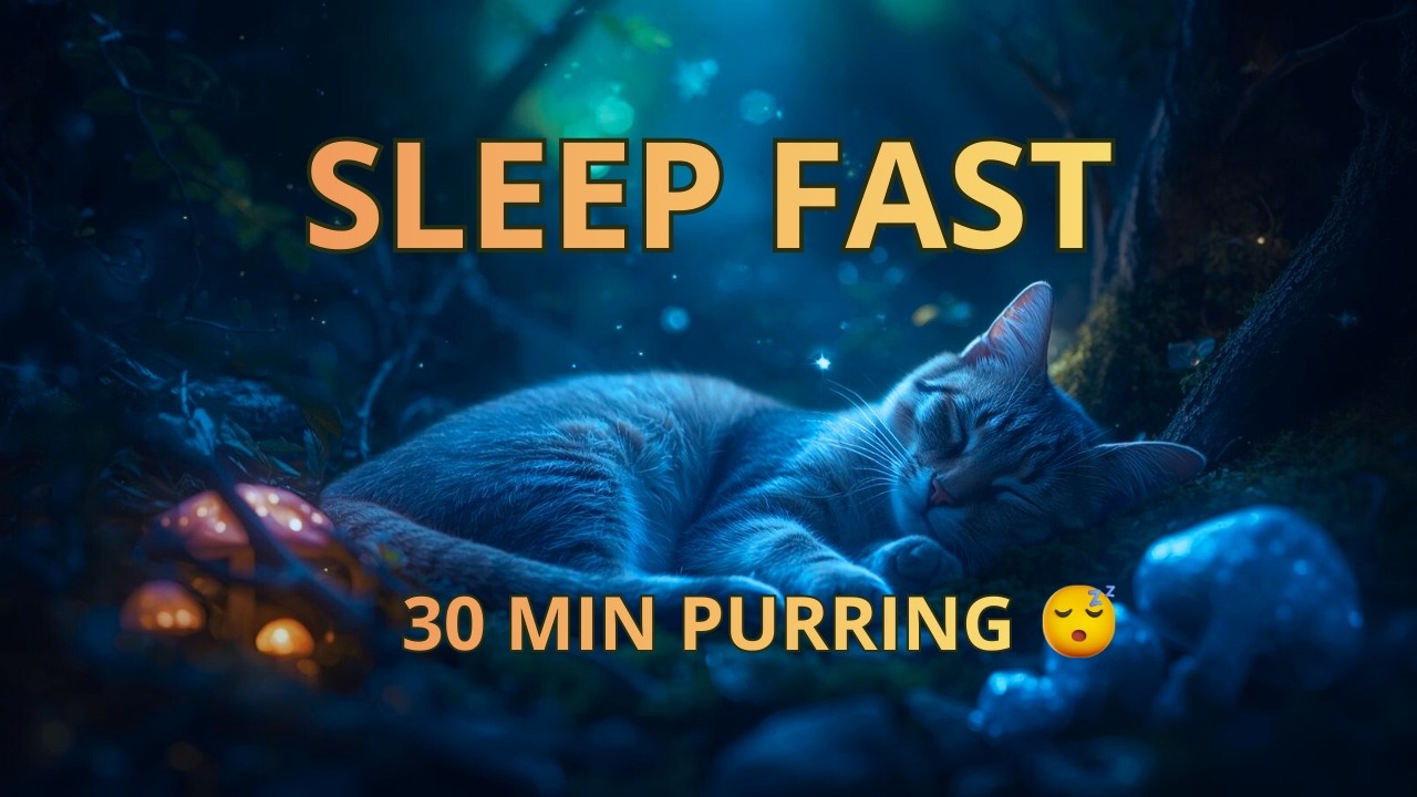 Cat Purring with Soft Ambient Music 🌙 Enchanted Forest Deep Sleep (30 Minutes)