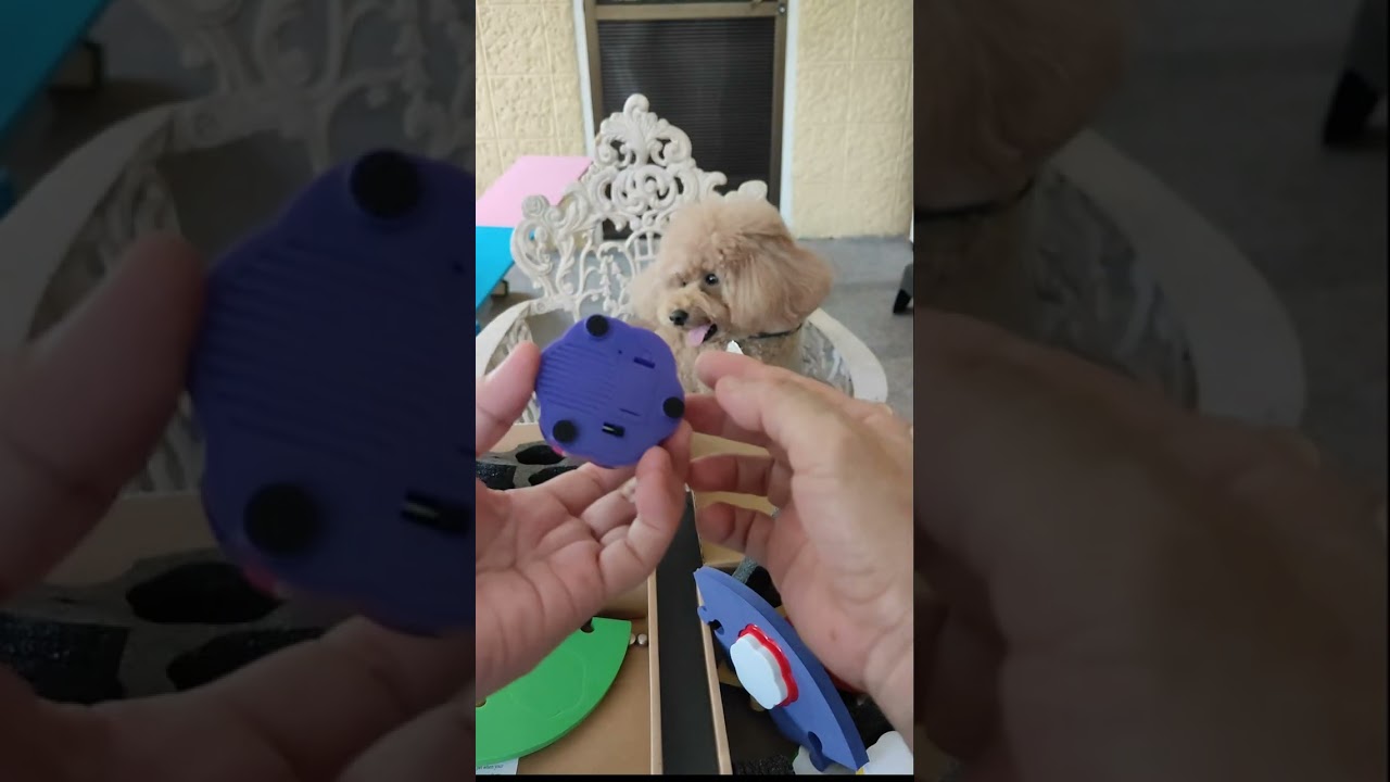 UNBOXING | PET TALKING BUTTONS #migzthepoodle #talkingdog