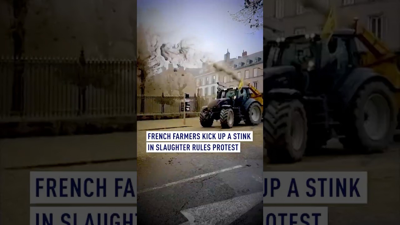 French farmers kick up a stink in slaughter rules protest