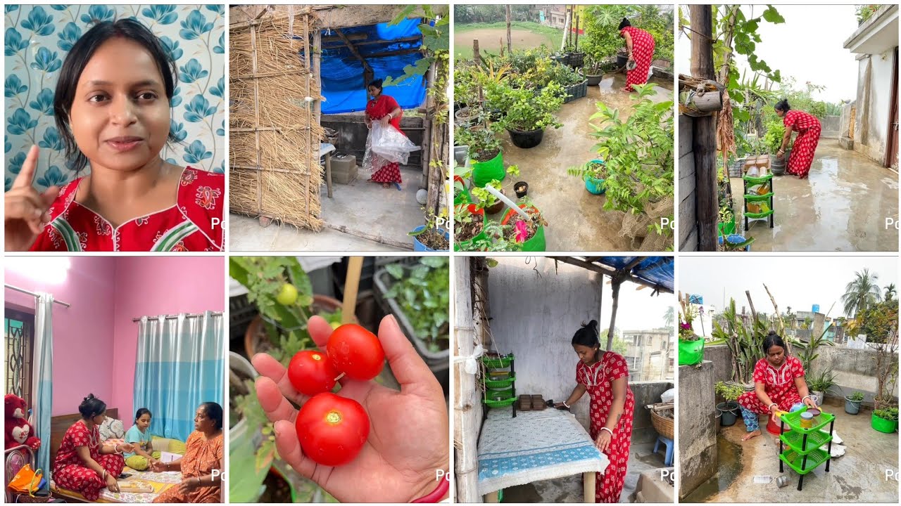 সবচেয়ে প্রিয় ছাদ বাগান আর রান্নাঘরটাকে আজ পরিপাটি করে গোছালাম..