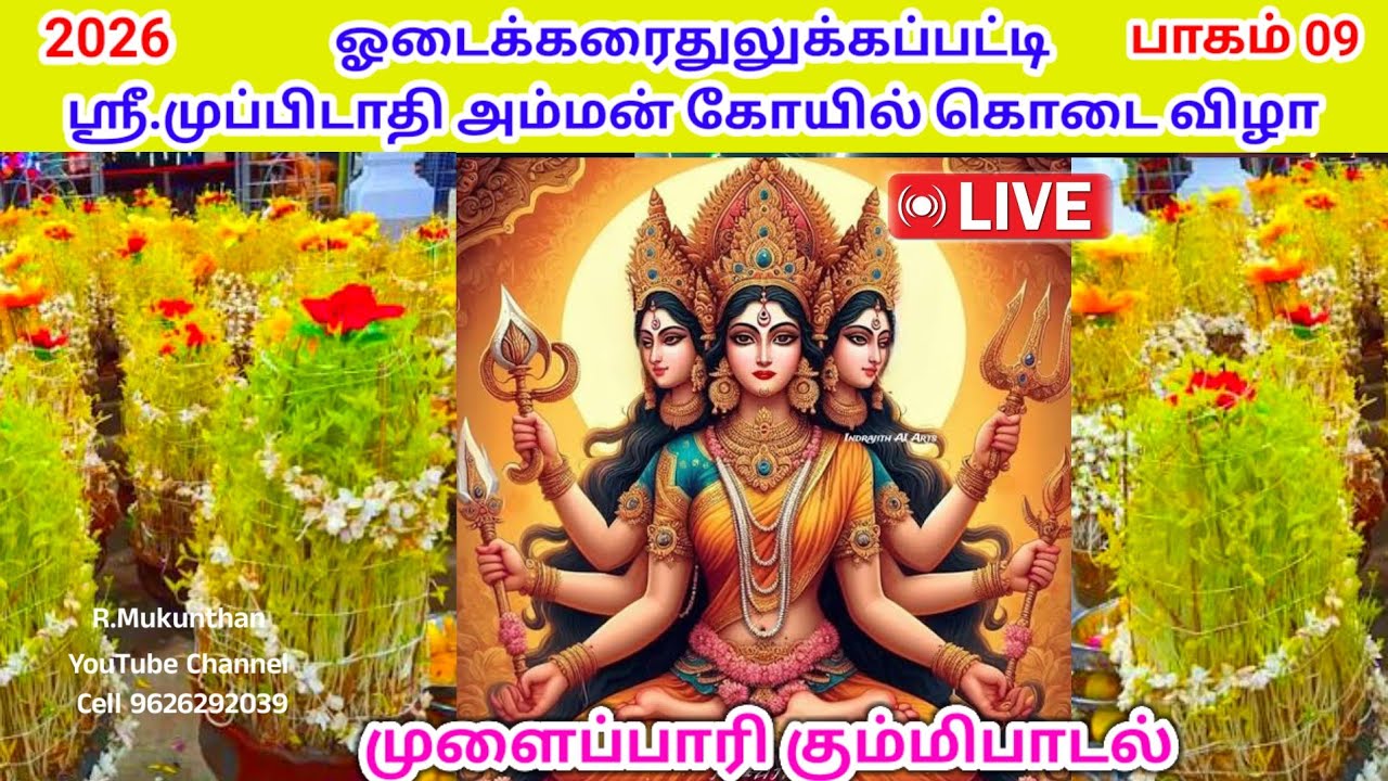 🔴 நேரலை நையாண்டிமேளம் முழங்க கும்மி பாடல் முப்பிடாதி அம்மன் கோயில் கொடை ஓடைக்கரைதுலுக்கப்பட்டி