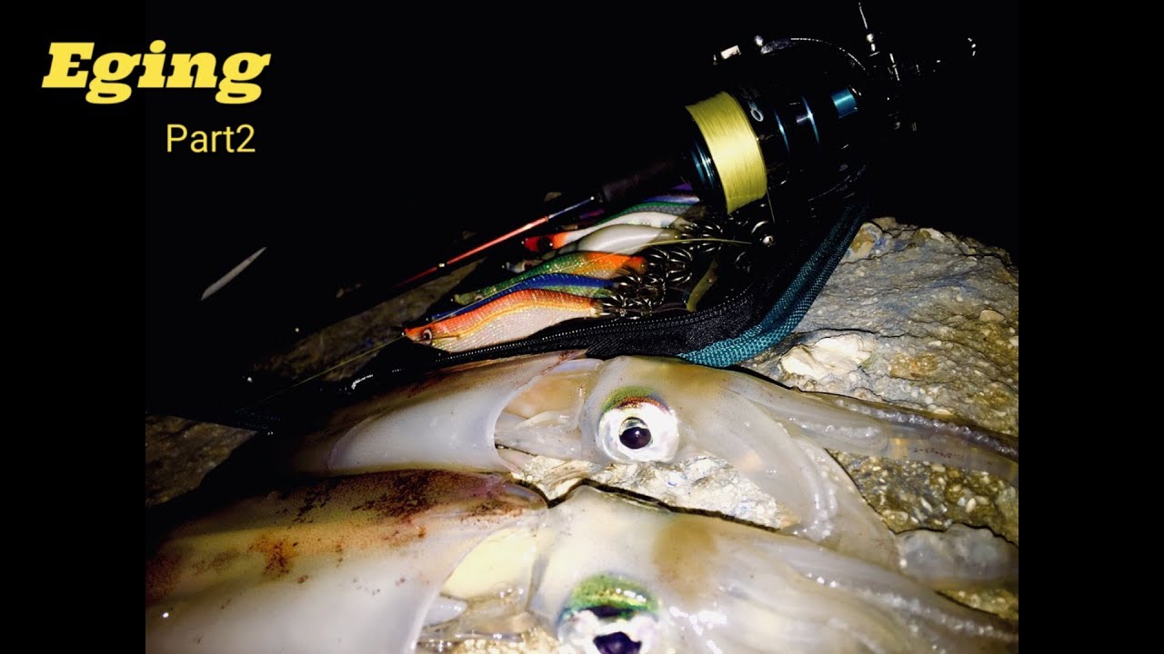 Ψάρεμα καλαμαριών από την ακτή με eging - Eging fishing part 2