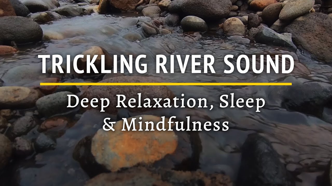 The Sound of Trickling River Water – Gentle Forest Stream for Deep Relaxation, Sleep & Mindfulness