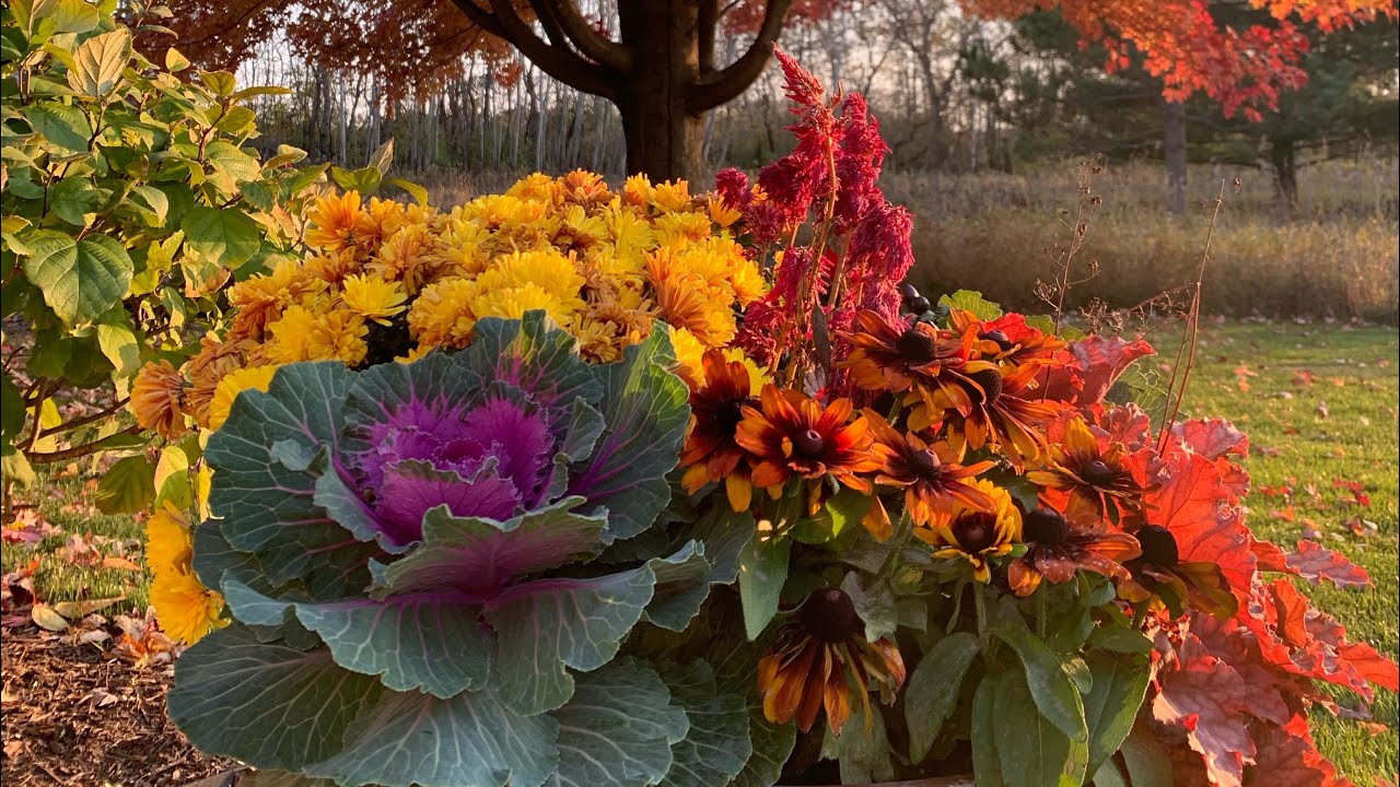Fall Container Ideas
