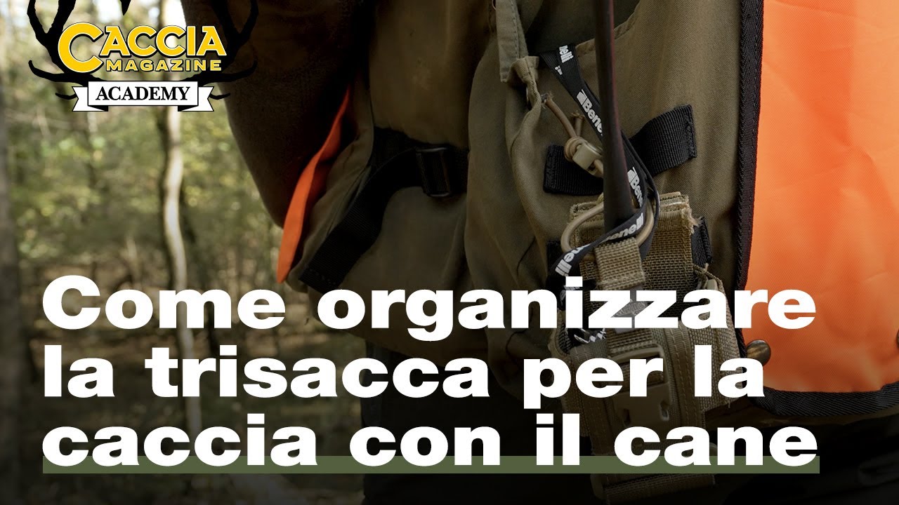 Come organizzare la trisacca per la caccia con il cane - Caccia Magazine Academy