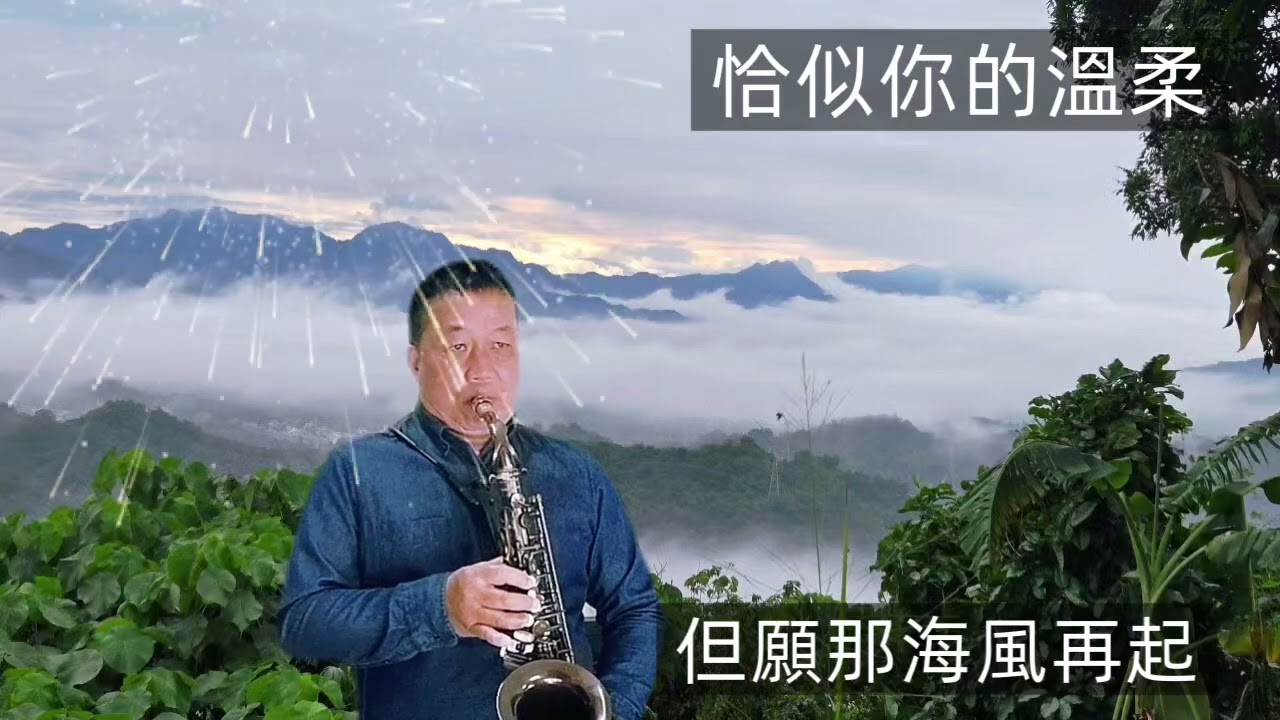 恰似你的温柔