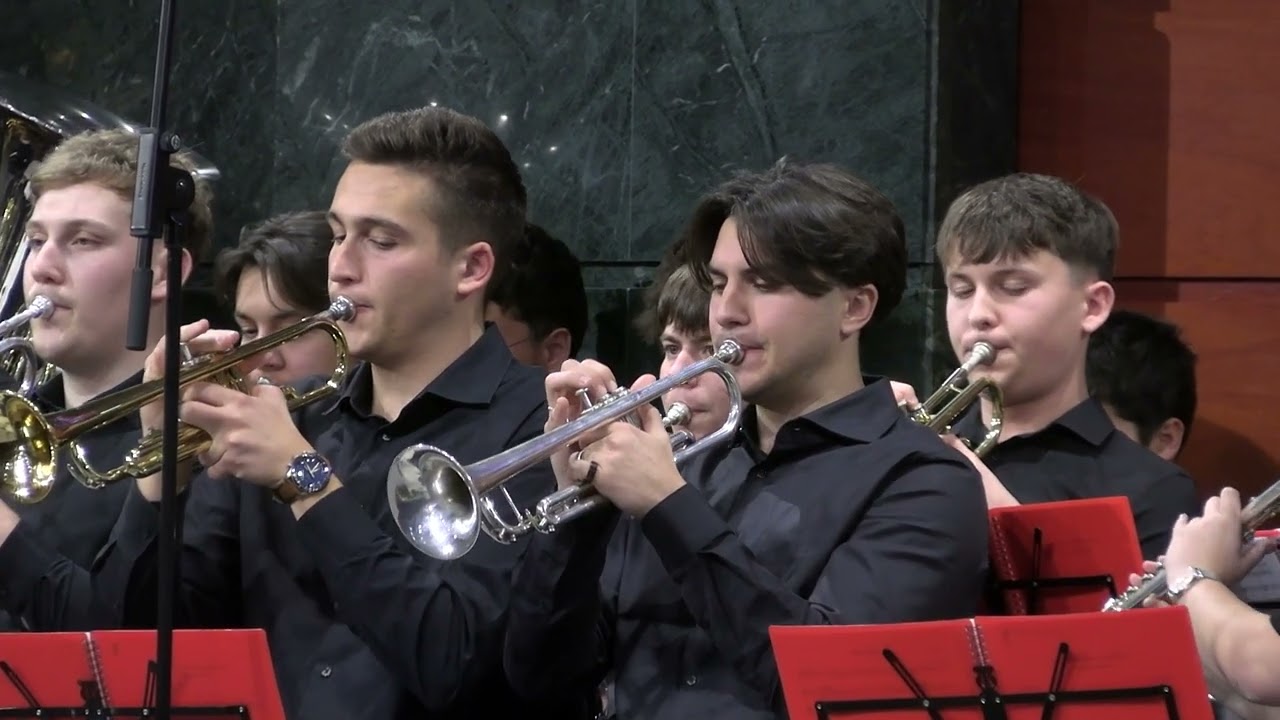 Doar o coliba - fanfara Castellon 🎺📯 | festival Madrid