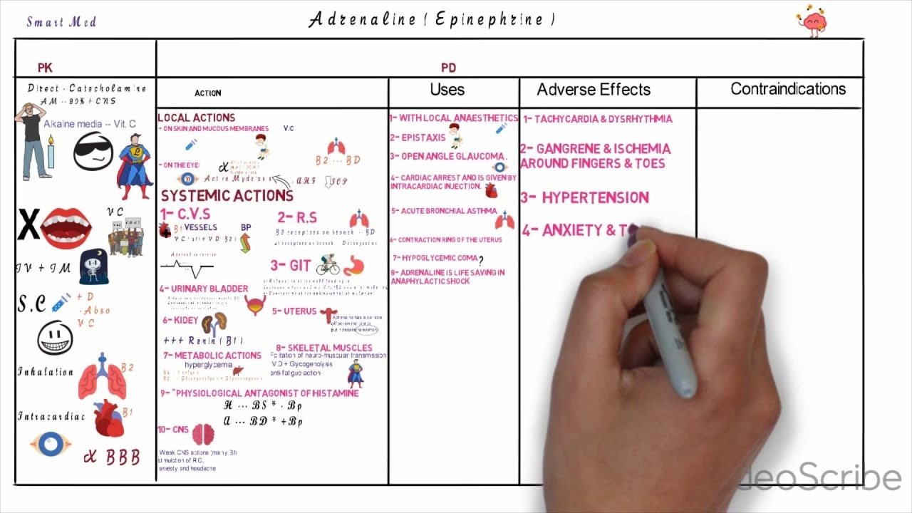 Sympathomimetics -Adrenaline ( Action - uses - Adverse Effects - Contraindications )