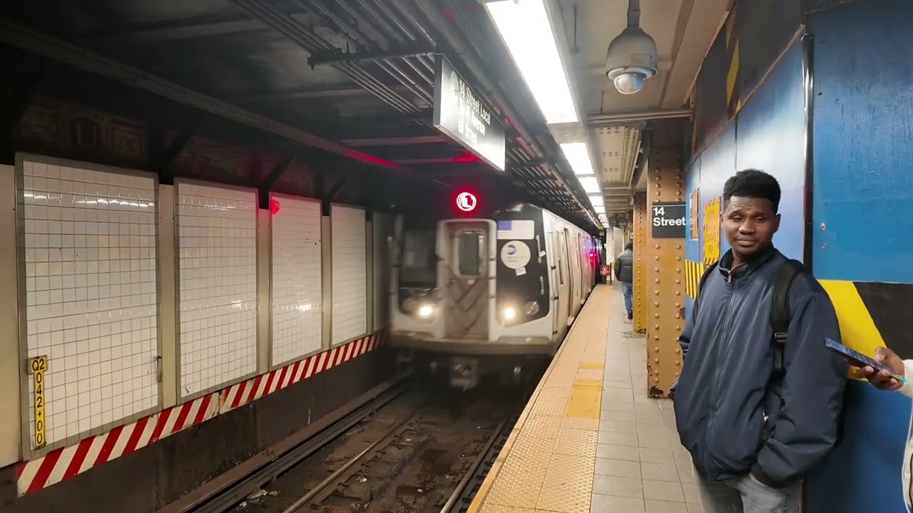 Just some NYC subway trains.