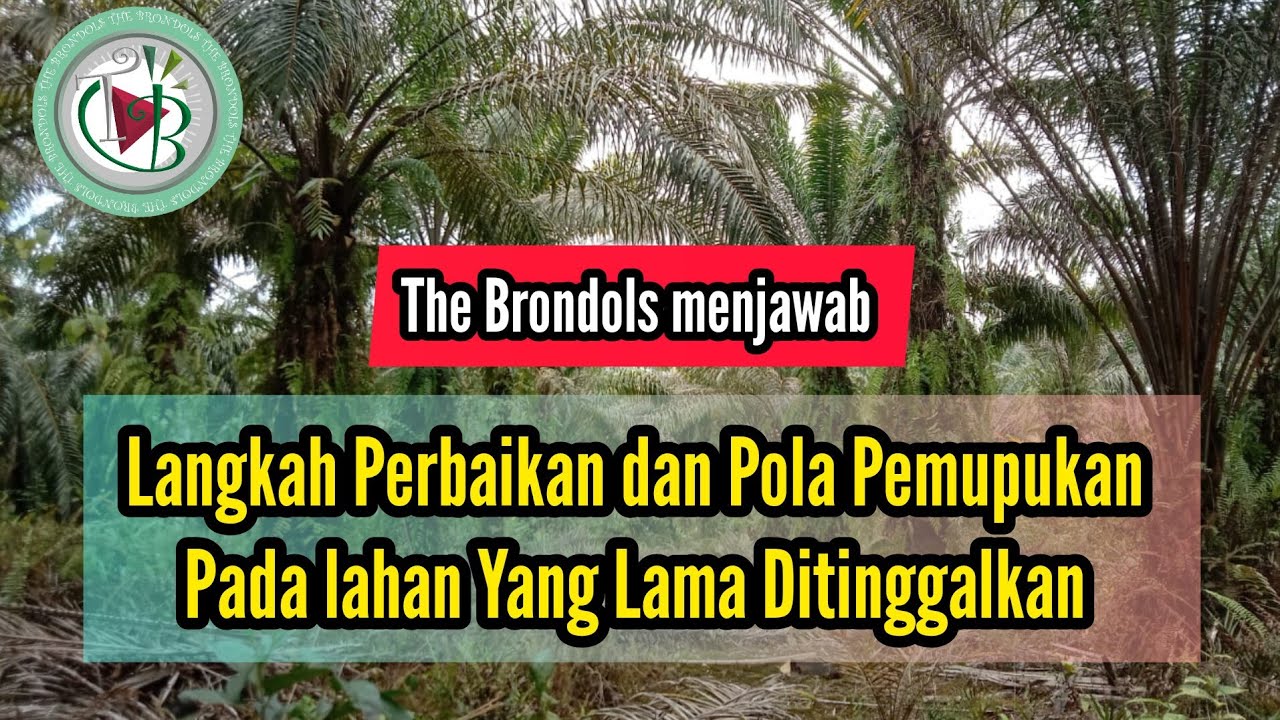 The Brondols Menjawab - Langkah Perbaikan dan Pola Pemupukan Pada lahan Yang Lama Ditinggalkan